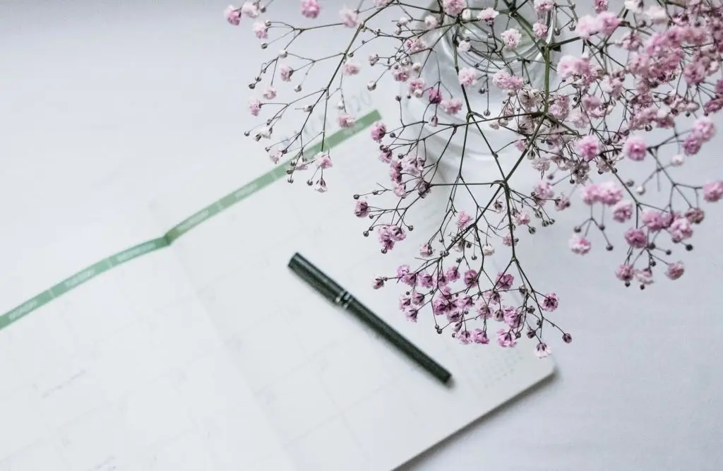 image article de blog test